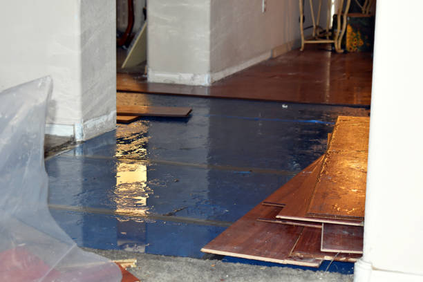 Professional Water Damage technician working in Town Creek, AL